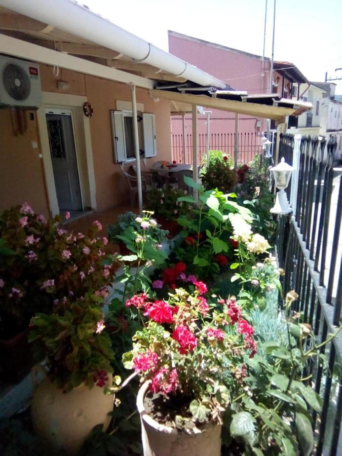 Villa Angela, Traditional Villa In The Village Agios Ioannis Peristerion Exterior foto